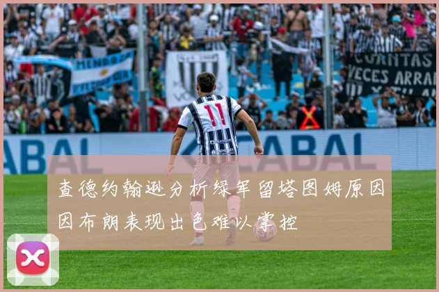 查德约翰逊分析绿军留塔图姆原因因布朗表现出色难以掌控