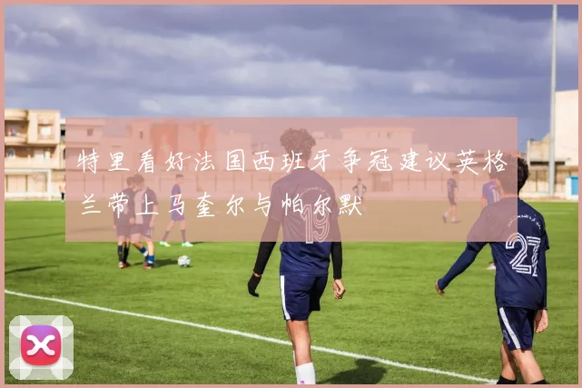 特里看好法国西班牙争冠建议英格兰带上马奎尔与帕尔默