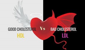  سطح کلسترول خوب(HDL) چقدر باید باشد؟