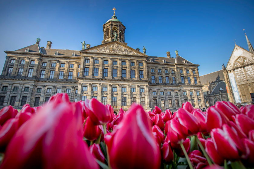  بهترین زمان سفر به آمستردام، پایتخت گل های لاله
