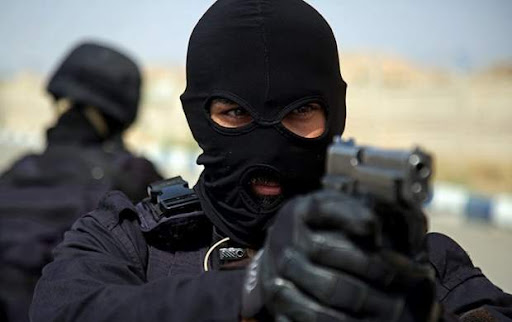 سرشاخه‌های گروهک قیام سپید دستگیر شدند !