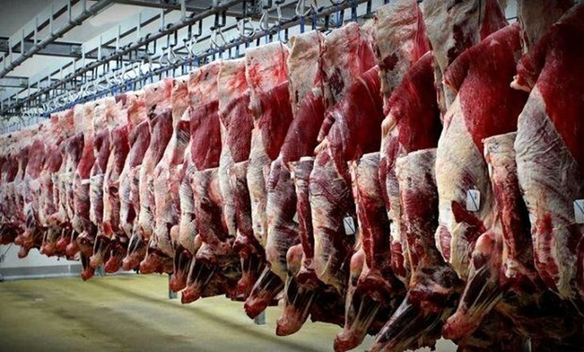  قاچاق گوشت به عراق شدت گرفت / چرا قیمت گوشت پایین نمی‌آید ؟