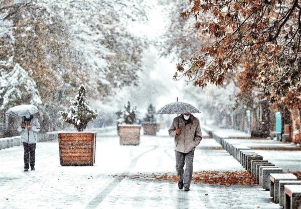 بارش برف و باران در 10 استان