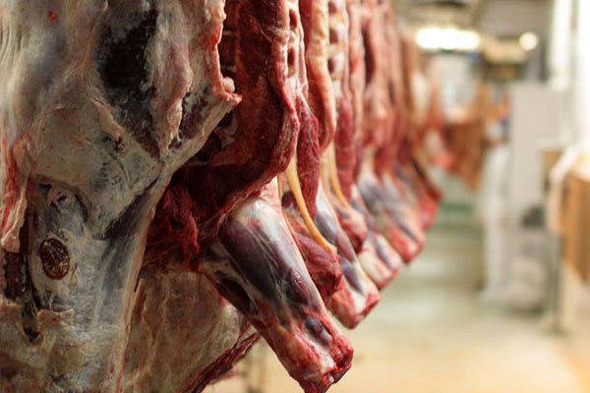 توزیع اینترنتی گوشت منجمد/ عرضه گوشت گرم تنظیم بازاری شب عید