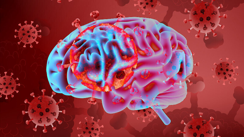 کووید باعث چه تغییراتی در مغز می‌شود؟